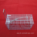 Squirrel Small Single Door Cage Animal Trap